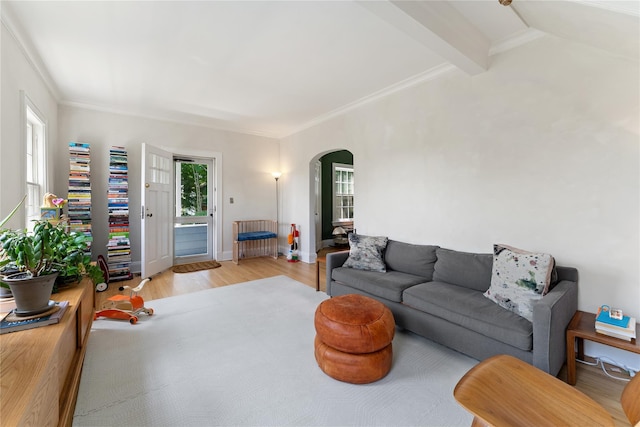 105 James St, Hastings-On-Hudson, NY 10706 - living area featuring arched walkways, wood finished floors, crown molding, beam ceiling, and baseboards