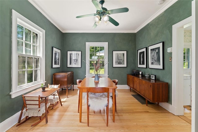 105 James St, Hastings-On-Hudson, NY 10706 - dining space featuring light wood finished floors, ceiling fan, crown molding, and baseboards