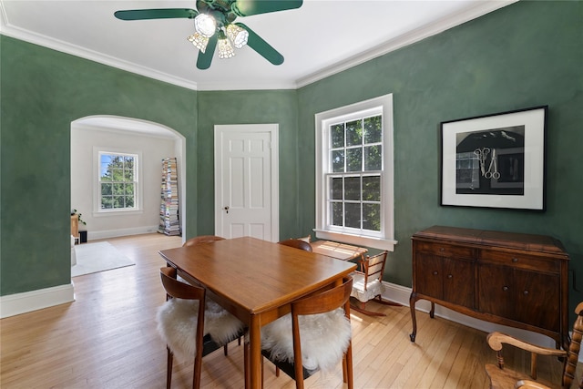 105 James St, Hastings-On-Hudson, NY 10706 - dining area featuring plenty of natural light, arched walkways, wood finished floors, a ceiling fan, and crown molding