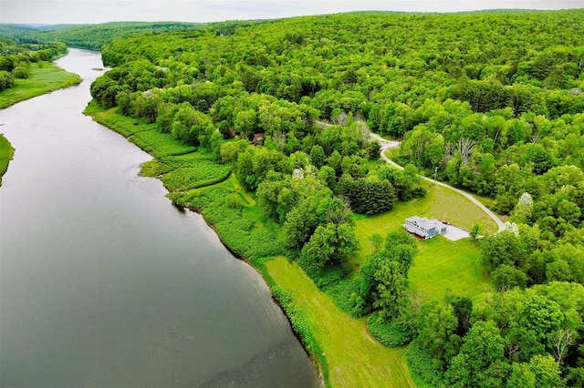 5 Arrowhead Ln, Narrowsburg, NY 12764 - bird's eye view of a nearby body of water and a heavily wooded area