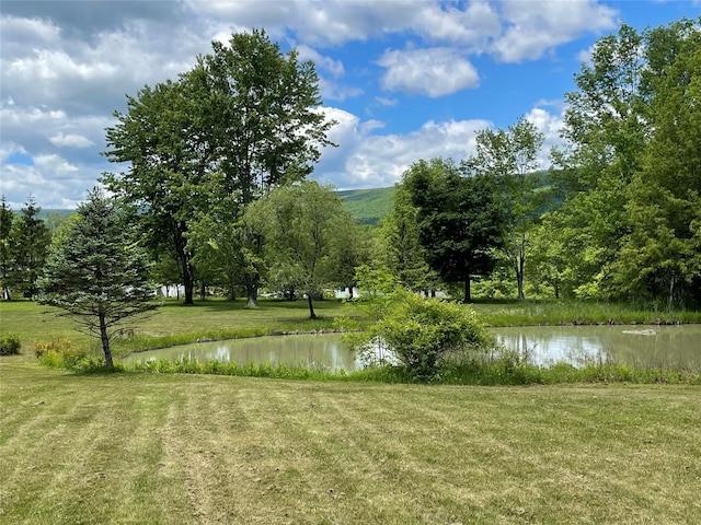 71 Saddleback Ridge Rd, Wallkill, NY 12589 - surrounding community featuring a water view and a lawn