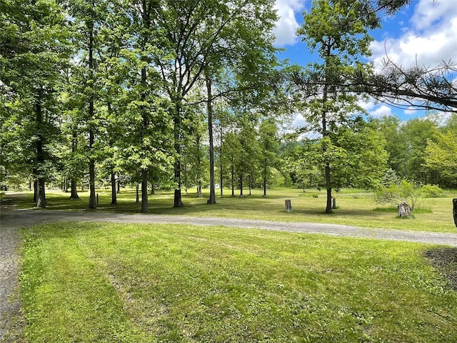 71 Saddleback Ridge Rd, Wallkill, NY 12589 - view of community with a lawn