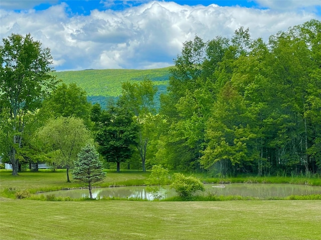 71 Saddleback Ridge Rd, Wallkill, NY 12589 - surrounding community with a water view and a lawn
