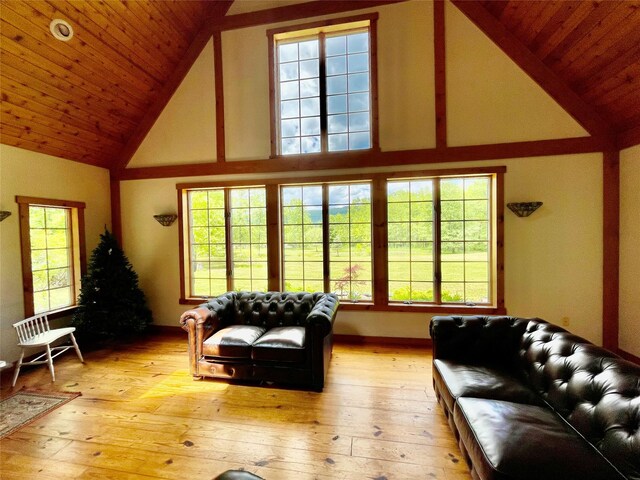 71 Saddleback Ridge Rd, Wallkill, NY 12589 - living area with high vaulted ceiling, light wood-style floors, healthy amount of natural light, and wood ceiling