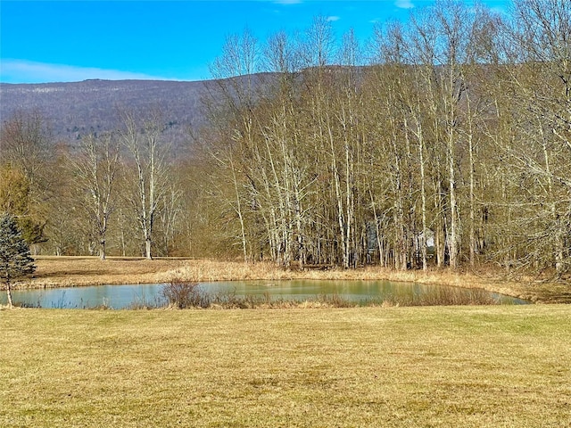 71 Saddleback Ridge Rd, Wallkill, NY 12589 - view of mountain background featuring a large body of water and a forest