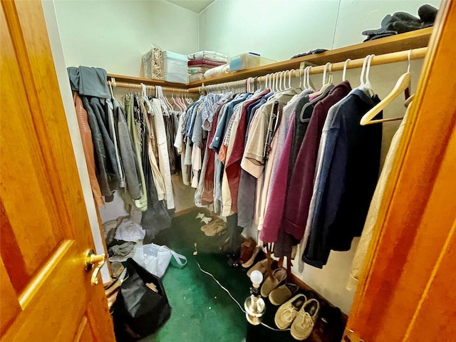 71 Saddleback Ridge Rd, Wallkill, NY 12589 - view of spacious closet