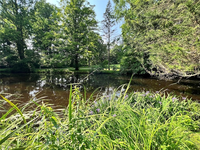 104 S Quaker Ln, Hyde Park, NY 12538 - water view