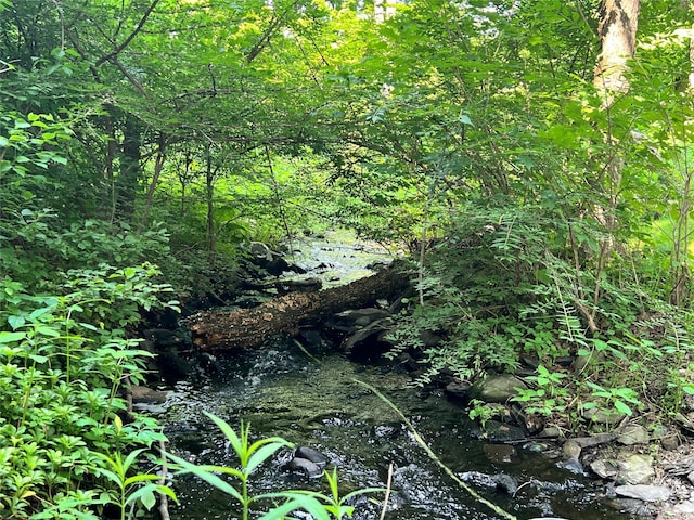 104 S Quaker Ln, Hyde Park, NY 12538 - view of nature