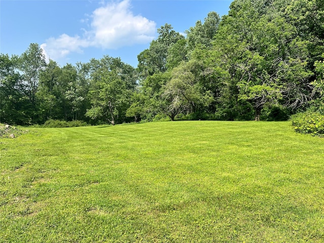 104 S Quaker Ln, Hyde Park, NY 12538 - view of green lawn