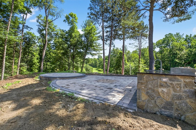 104 S Quaker Ln, Hyde Park, NY 12538 - view of property's community featuring a patio