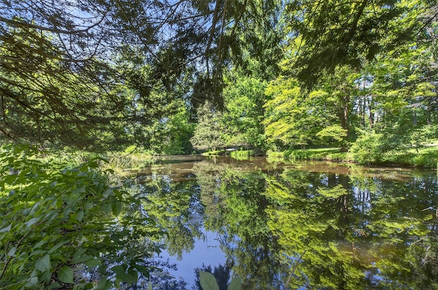 104 S Quaker Ln, Hyde Park, NY 12538 - water view with a forest