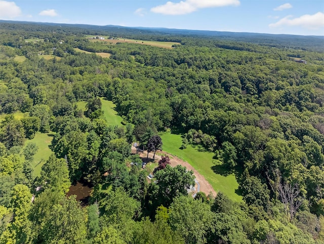 104 S Quaker Ln, Hyde Park, NY 12538 - drone / aerial view of a forest