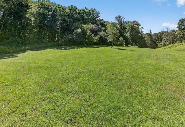 104 S Quaker Ln, Hyde Park, NY 12538 - view of grassy yard featuring a forest view