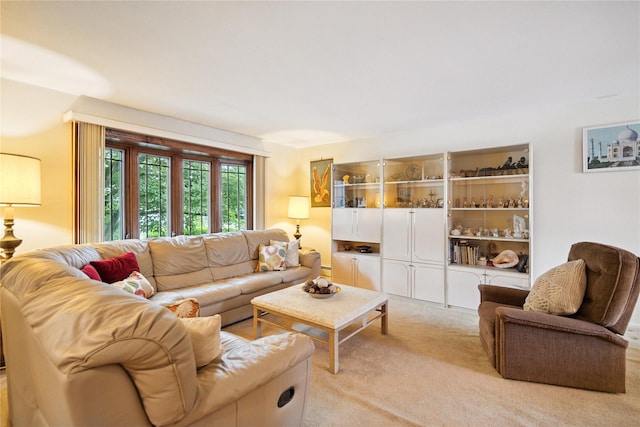 82 Cherry Ln, Lynbrook, NY 11563 - living area featuring light colored carpet and a baseboard heating unit
