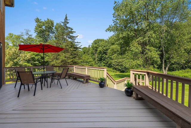 79 Saddle Ridge Dr, Hopewell Junction, NY 12533 - photo 30
