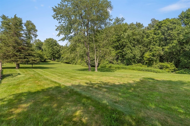 79 Saddle Ridge Dr, Hopewell Junction, NY 12533 - photo 34