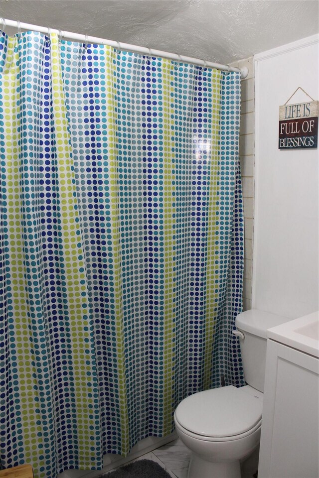 104 Maple Ave, Bethel, NY 12749 - full bath featuring toilet, vanity, a textured ceiling, and a shower with curtain