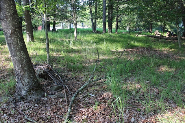 104 Maple Ave, Bethel, NY 12749 - view of undeveloped land