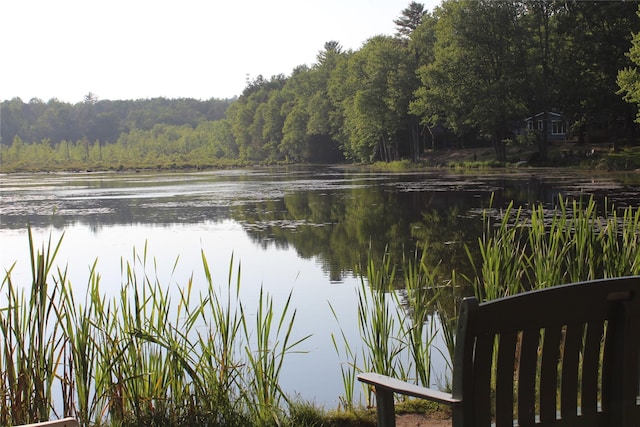 104 Maple Ave, Bethel, NY 12749 - water view with a forest