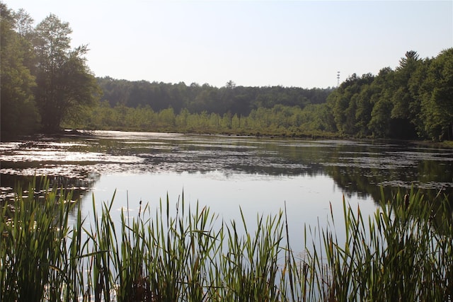 104 Maple Ave, Bethel, NY 12749 - water view with a heavily wooded area