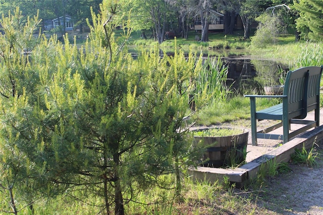 104 Maple Ave, Bethel, NY 12749 - view of yard