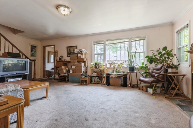 16249 13th Ave, Beechhurst, NY 11357 - carpeted living room with plenty of natural light and ornamental molding