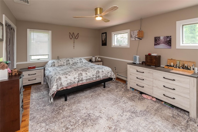 2 Sheafe Cir, Rock Tavern, NY 12575 - bedroom with a baseboard radiator, light wood-style flooring, and multiple windows