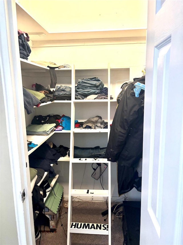 61 Bronx River Rd Unit 8E, Yonkers, NY 10704 - spacious closet featuring carpet flooring