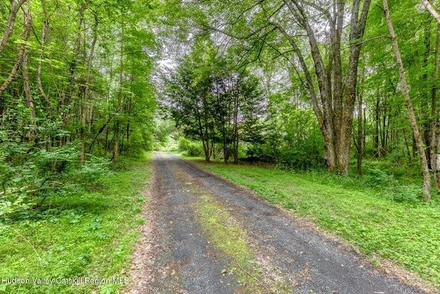 8 Enclave Manor Dr, New Paltz, NY 12561 - photo 29
