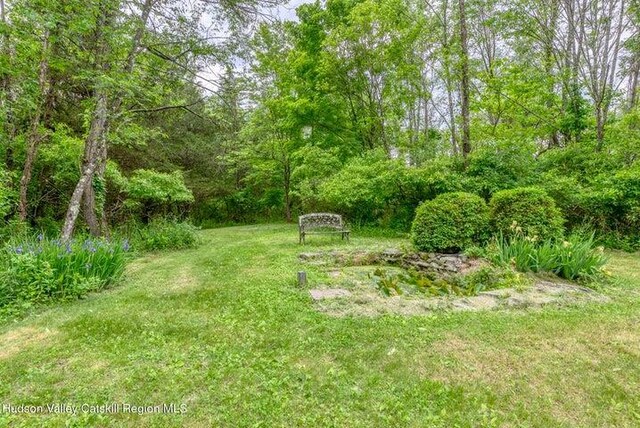8 Enclave Manor Dr, New Paltz, NY 12561 - photo 37