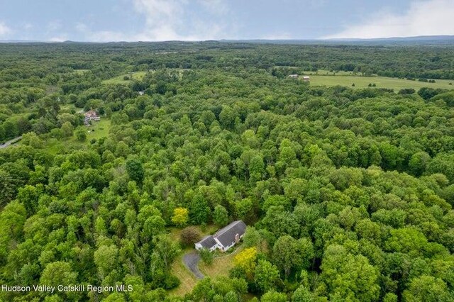 8 Enclave Manor Dr, New Paltz, NY 12561 - photo 39