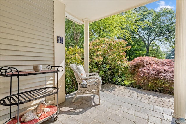 41 Indian Hill Rd, Brewster, NY 10509 - view of patio