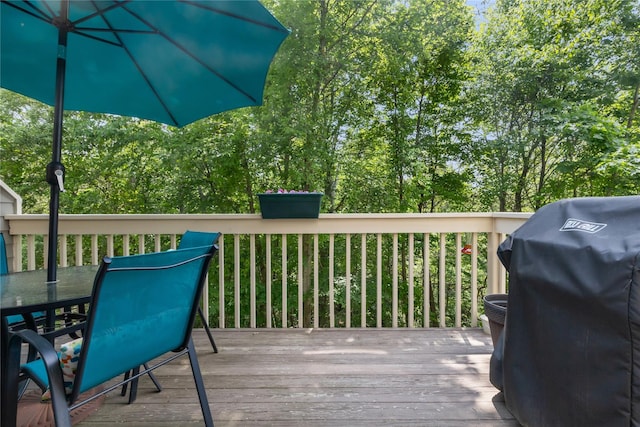 5504 Applewood Cir, Carmel, NY 10512 - photo 16