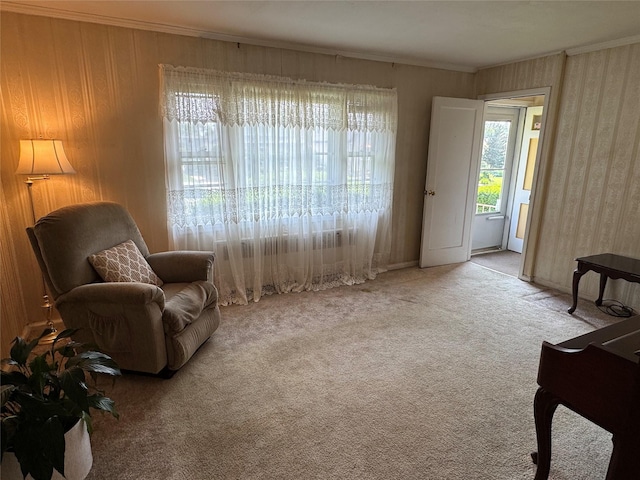 510 7th St, West Hempstead, NY 11552 - living area with ornamental molding and carpet
