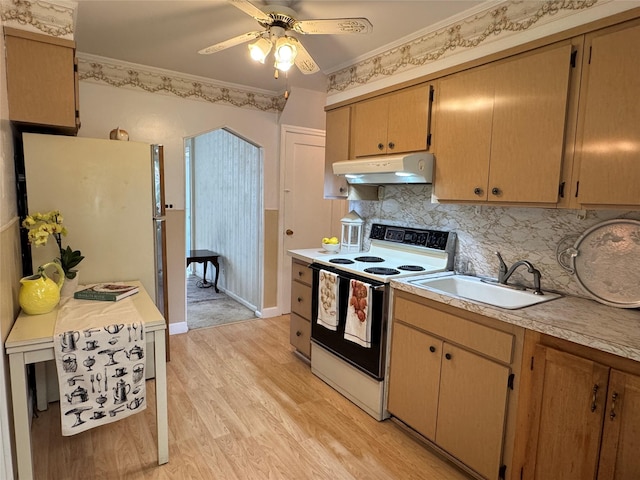 510 7th St, West Hempstead, NY 11552 - kitchen with white appliances, under cabinet range hood, a sink, a ceiling fan, and light wood-style flooring