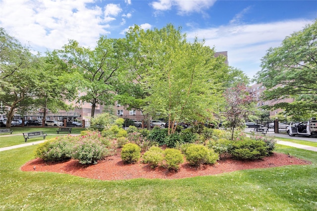 99-40 63rd Rd Unit 9Z, Rego Park, NY 11374 - view of property's community with a yard