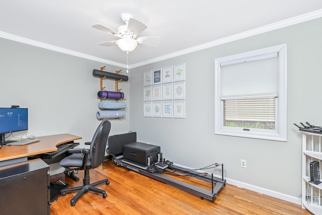 7 Dawn Dr, East Northport, NY 11731 - home office with wood finished floors, crown molding, ceiling fan, and baseboards