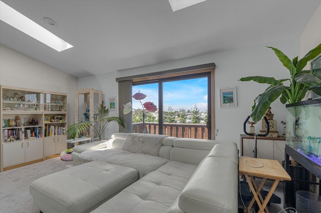 1 Anchorage Way Unit 704, Freeport, NY 11520 - living room featuring a skylight and lofted ceiling