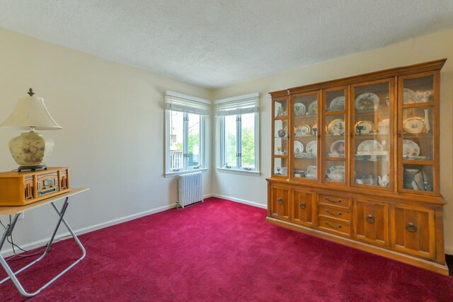 162-29 95th St, Howard Beach, NY 11414 - living area with radiator heating unit, carpet flooring, and a textured ceiling