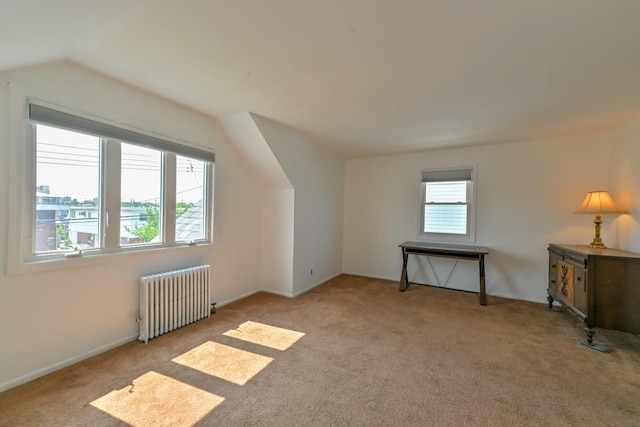 162-29 95th St, Howard Beach, NY 11414 - bonus room with radiator heating unit, carpet, and lofted ceiling