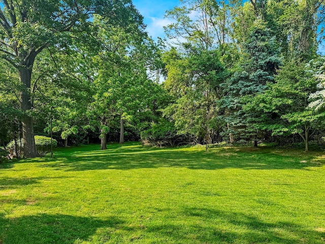 91 Harbor Rd, Head Of The Harbor, NY 11780 - view of grassy yard