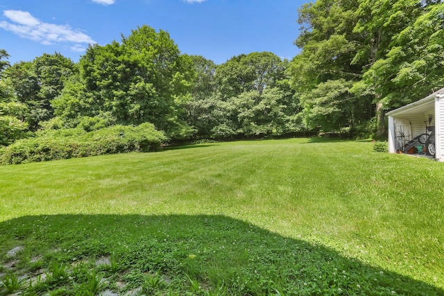 3868 Indian Hill Rd, Shrub Oak, NY 10588 - view of green lawn