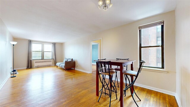 65-35 108th St Unit D7, Forest Hills, NY 11375 - dining room featuring radiator, healthy amount of natural light, wood finished floors, and baseboards