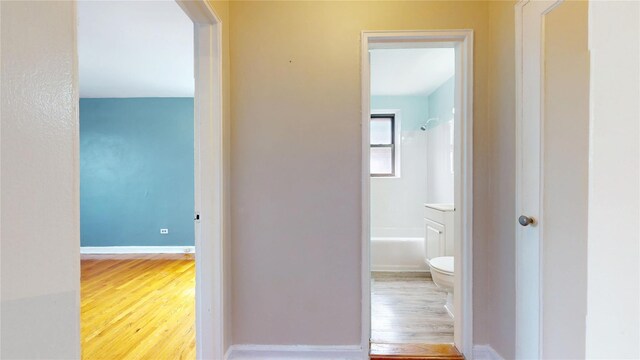 65-35 108th St Unit D7, Forest Hills, NY 11375 - corridor with wood finished floors and baseboards