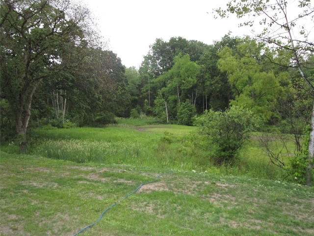 142 Adams Rd, Athens, NY 12051 - photo 5