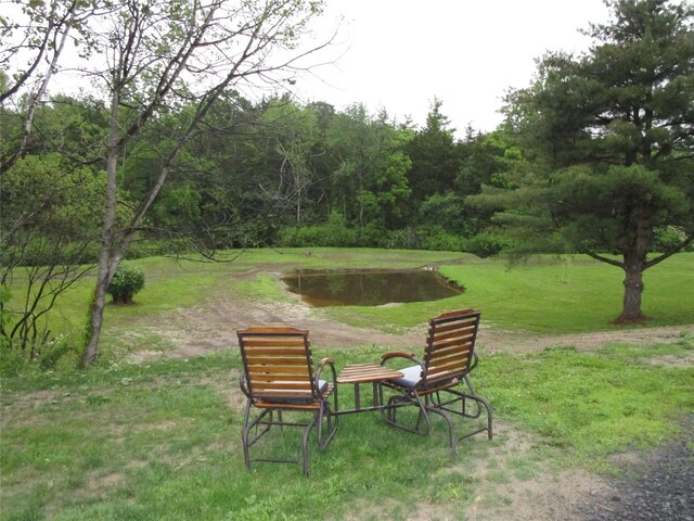142 Adams Rd, Athens, NY 12051 - photo 6
