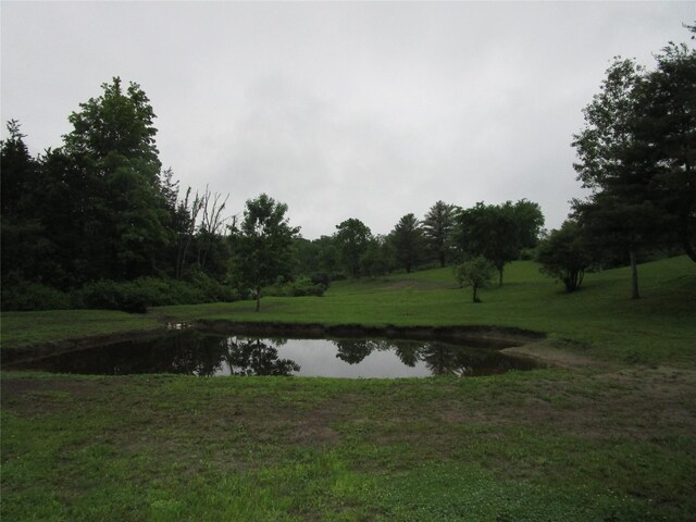 142 Adams Rd, Athens, NY 12051 - photo 7