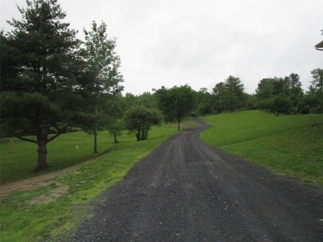 142 Adams Rd, Athens, NY 12051 - photo 8