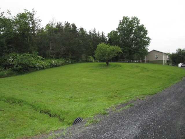 142 Adams Rd, Athens, NY 12051 - photo 9