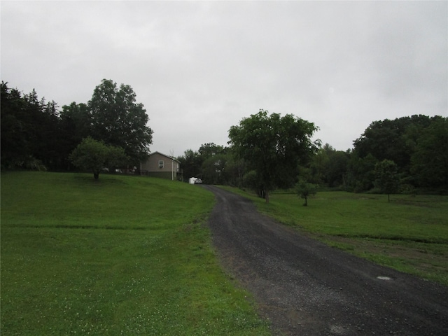 142 Adams Rd, Athens, NY 12051 - photo 10